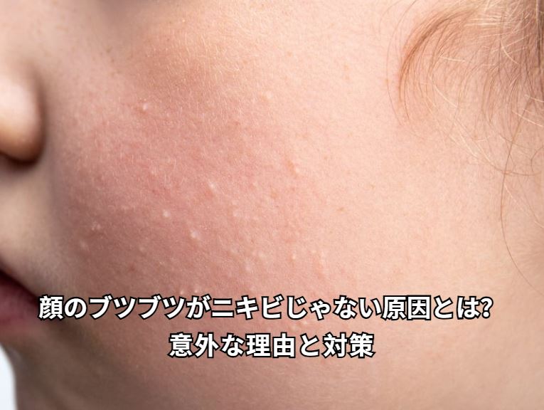 顔 ブツブツ ニキビじゃない